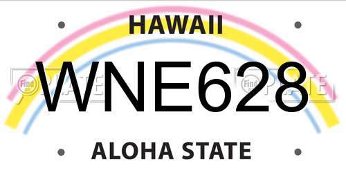 WNE628 Hawaii License Plate