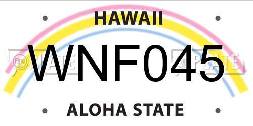 WNF045 Hawaii License Plate