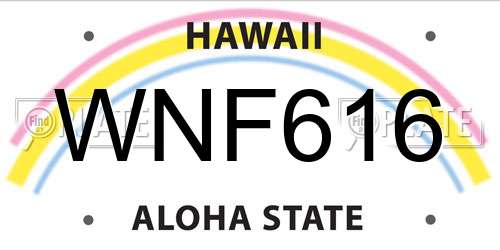 WNF616 Hawaii License Plate