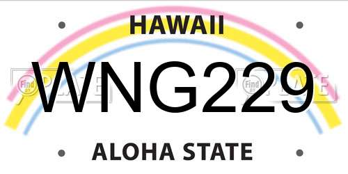 WNG229 Hawaii License Plate