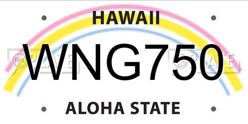 WNG750 Hawaii License Plate