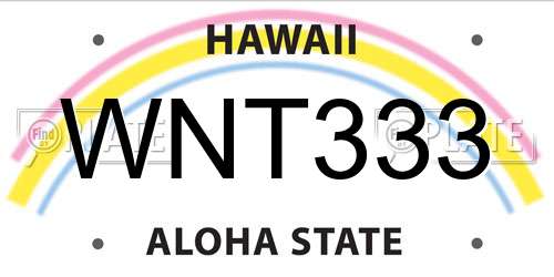 WNT333 Hawaii License Plate