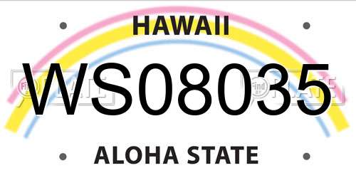 WS08035 Hawaii License Plate
