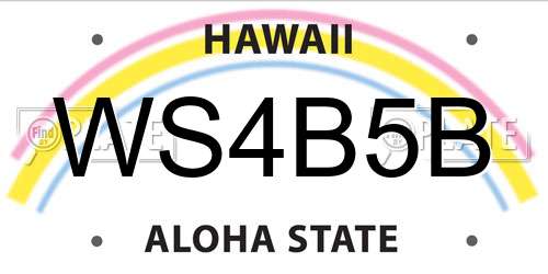 WS4B5B Hawaii License Plate