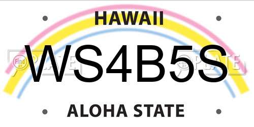 WS4B5S Hawaii License Plate