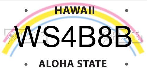 WS4B8B Hawaii License Plate