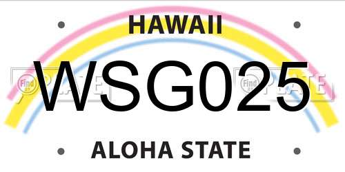 WSG025 Hawaii License Plate