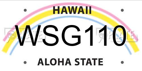 WSG110 Hawaii License Plate
