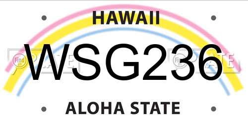 WSG236 Hawaii License Plate