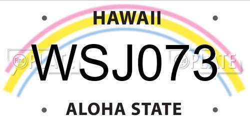 WSJ073 Hawaii License Plate