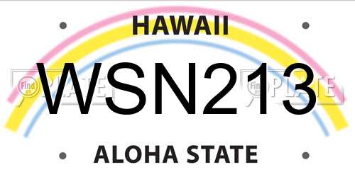 WSN213 Hawaii License Plate
