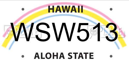 WSW513 Hawaii License Plate