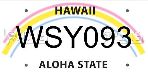 WSY093 Hawaii License Plate