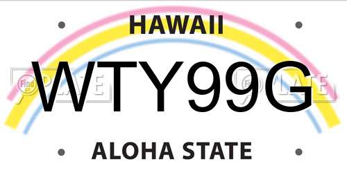 WTY99G Hawaii License Plate