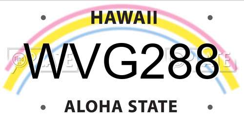 WVG288 Hawaii License Plate