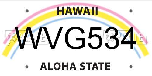 WVG534 Hawaii License Plate