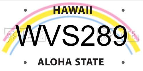 WVS289 Hawaii License Plate