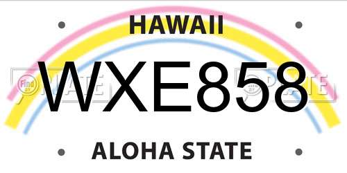 WXE858 Hawaii License Plate