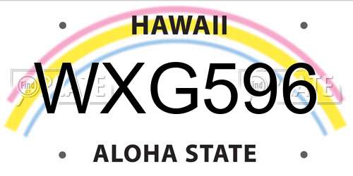WXG596 Hawaii License Plate
