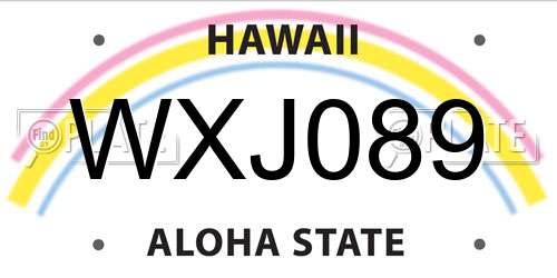WXJ089 Hawaii License Plate