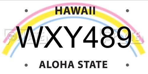 WXY489 Hawaii License Plate
