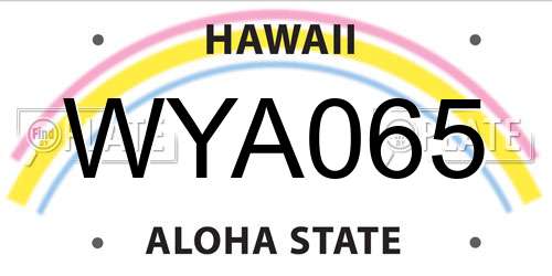 WYA065 Hawaii License Plate