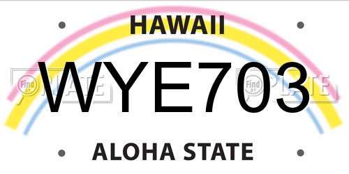 WYE703 Hawaii License Plate