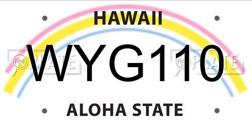WYG110 Hawaii License Plate