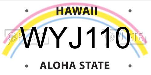 WYJ110 Hawaii License Plate