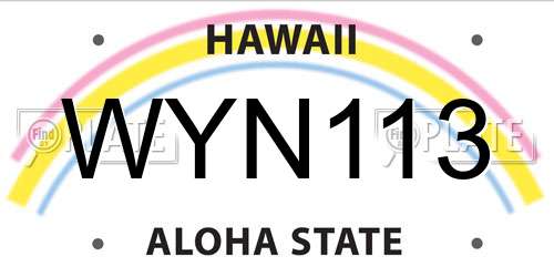 WYN113 Hawaii License Plate