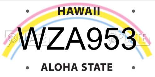 WZA953 Hawaii License Plate