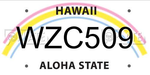 WZC509 Hawaii License Plate