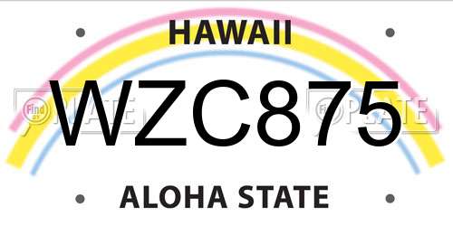 WZC875 Hawaii License Plate
