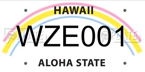 WZE001 Hawaii License Plate