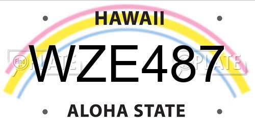 WZE487 Hawaii License Plate