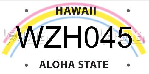 WZH045 Hawaii License Plate