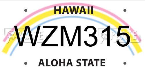WZM315 Hawaii License Plate