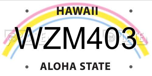 WZM403 Hawaii License Plate