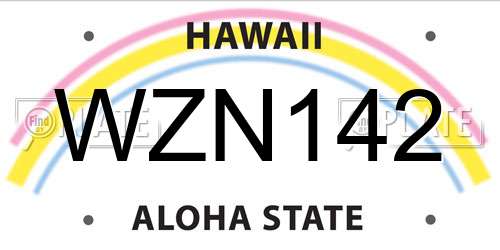 WZN142 Hawaii License Plate