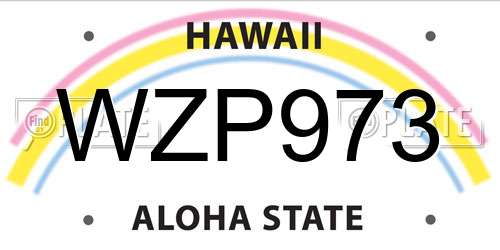 WZP973 Hawaii License Plate