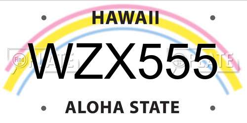 WZX555 Hawaii License Plate