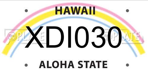 XDI030 Hawaii License Plate