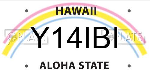 Y14IBI Hawaii License Plate