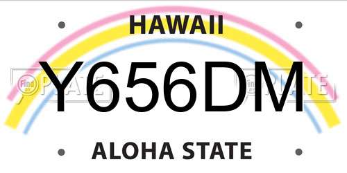 Y656DM Hawaii License Plate