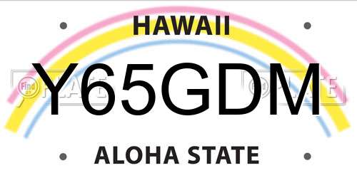 Y65GDM Hawaii License Plate