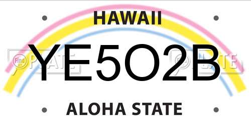 YE5O2B Hawaii License Plate