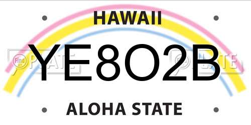 YE8O2B Hawaii License Plate