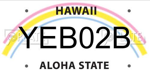 YEB02B Hawaii License Plate