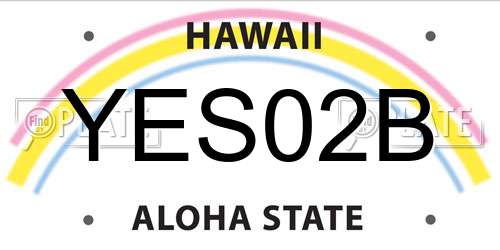 YES02B Hawaii License Plate