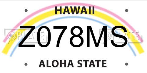 Z078MS Hawaii License Plate